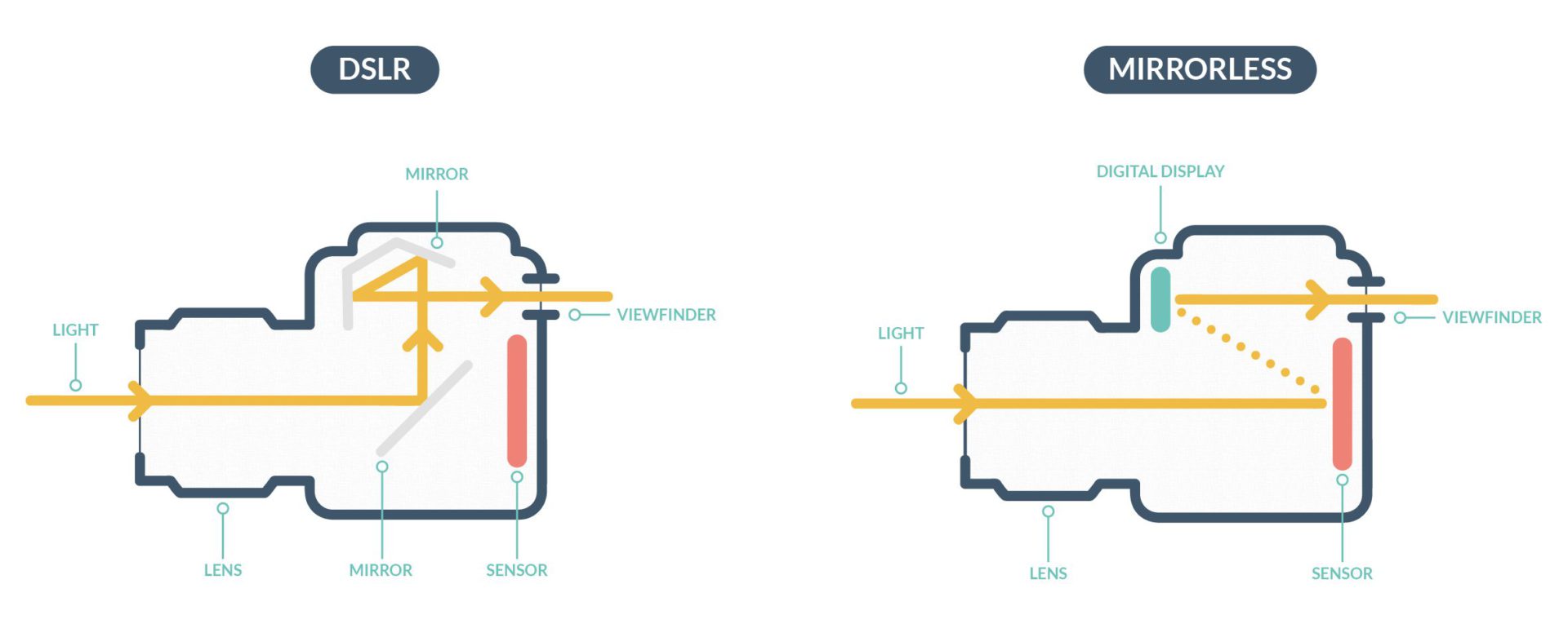 DSLR vs Mirrorless camera anatomy diagram - What is the difference between a DSLR and mirrorless camera?